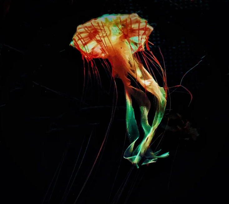 r202104150549066938.png